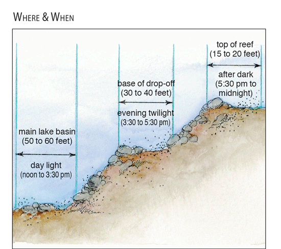 where to find burbot