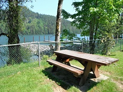 Stave Lake Picnicking