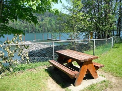 Stave Lake Picnicking