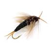 stonefly
