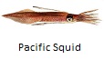 Pacific Coast Squid fishing tips